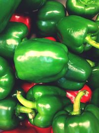 Full frame of tomatoes for sale at market stall