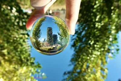 Low angle view of crystal ball against tree