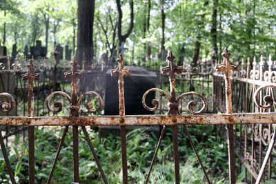 Rusty metal fence by trees