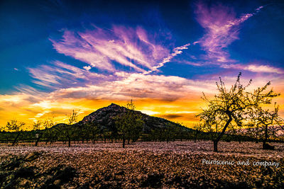 Scenic view of field against sky during sunset