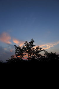 Low angle view of silhouette tree against sky during sunset