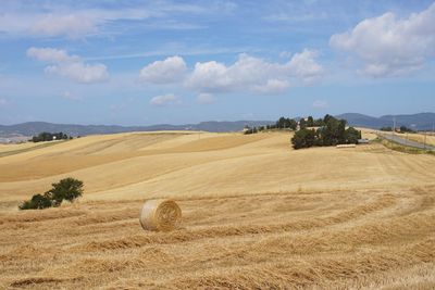 Landscape in the countryside of tuscany with hills and fields of wheat in summer