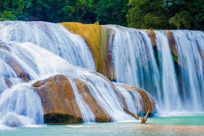 Scenic view of waterfall