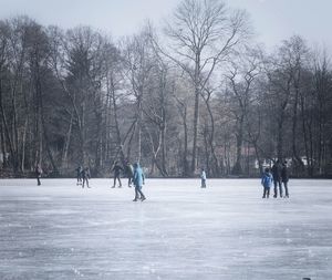 People ice-skating on rink