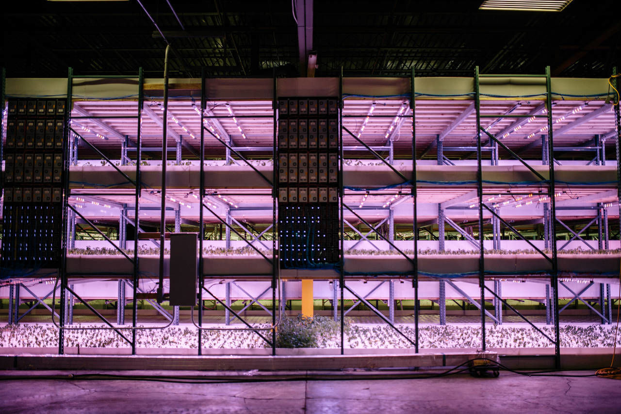 architecture, built structure, purple, no people, illuminated, night, indoors, water, transportation, railing, connection, metal, lighting equipment, travel, river, ceiling