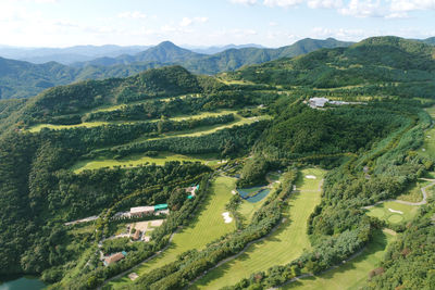 High angle view of trees on landscape