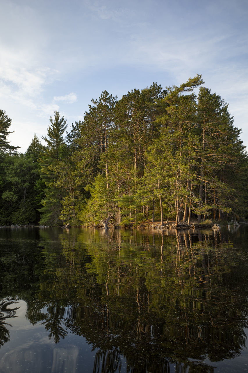 REFLECTION OF TREES ON LAKE AGAINST SKY