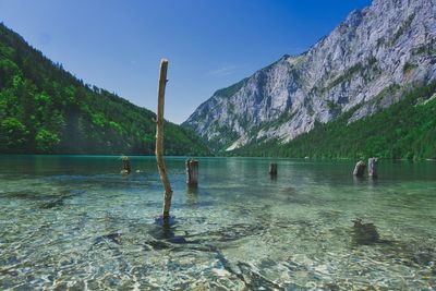 People swimming in lake against mountains