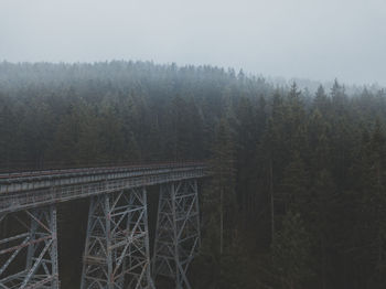 High angle view of trees in forest