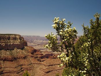 Scenic view of landscape against clear blue sky