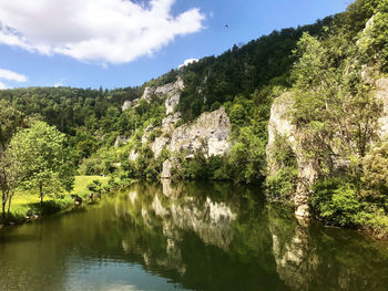 Scenic view of lake by trees against sky