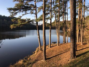 Scenic view of lake by trees