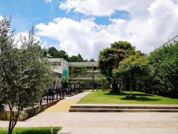 Footpath amidst trees and plants in park against sky