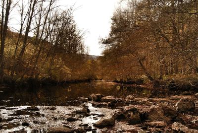 River flowing through rocks