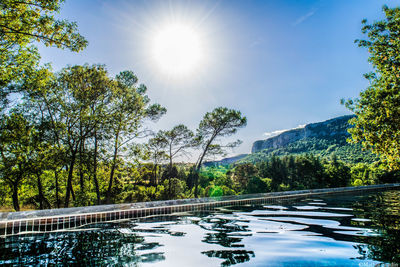 Reflection of trees in water against clear sky