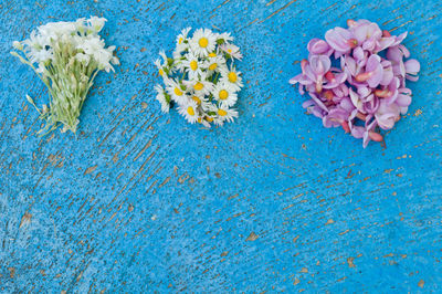 High angle view of flowers