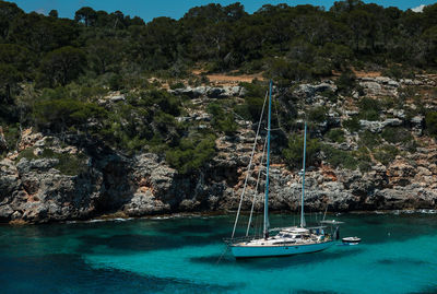 Sailboats in sea against trees