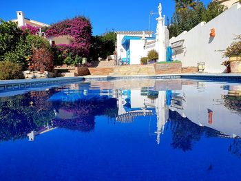 Reflection of trees and swimming pool in pond against buildings