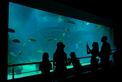 Group of silhouette people in aquarium