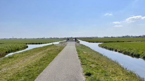 Road in the country 