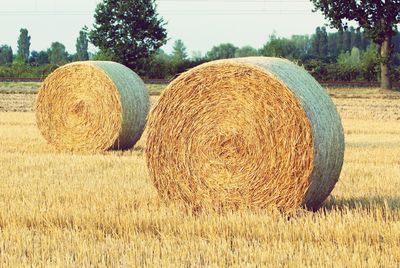 Hay bales on field