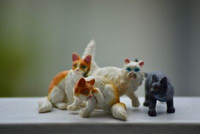 Close-up of a toy cat