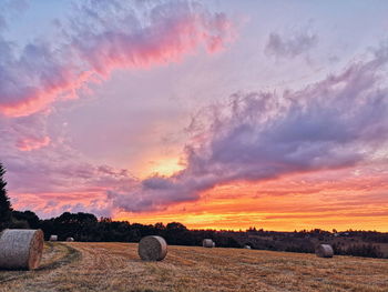 Scenic view of field against sky during sunset