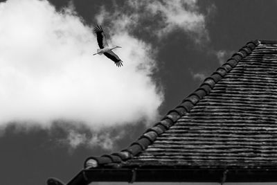 Low angle view of bird flying against sky