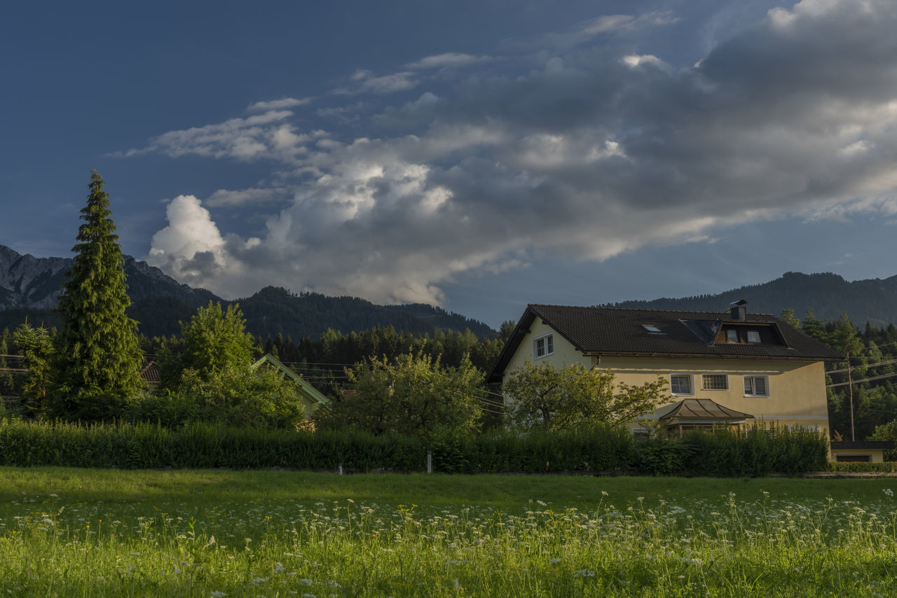 PLANTS AND BUILDINGS AGAINST SKY