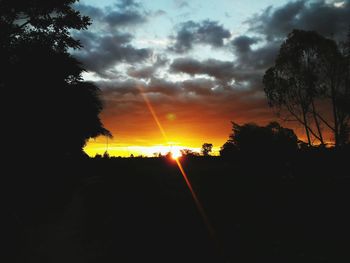 Silhouette trees against sky during sunset