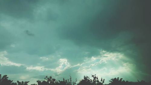 Low angle view of silhouette trees against storm clouds