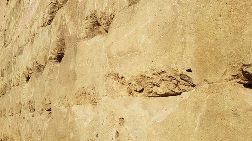 High angle view of footprints on sand at beach