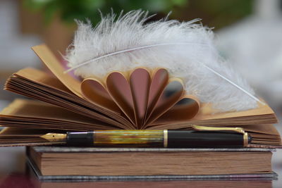 Close-up of feather and books with fountain pen