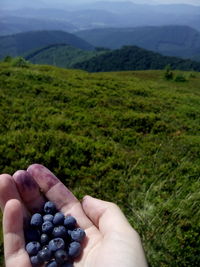 Cropped image of hand holding apple against mountains