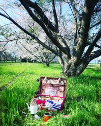 Abandoned house on field