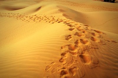 Footprints on sand dune