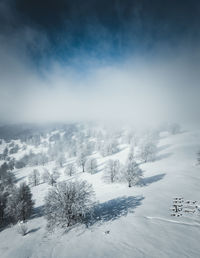 Snow covered land and trees against sky