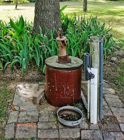 View of potted plants in yard