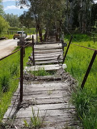 Boardwalk amidst trees against sky