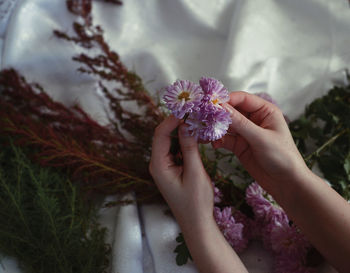 Close-up of hand holding purple flowering plant