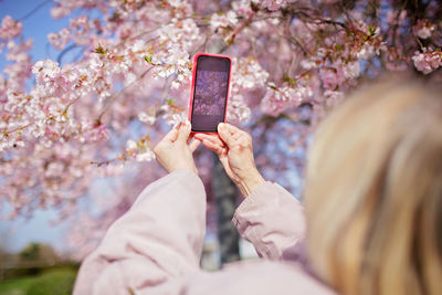 Senior woman in pink coat takes picture of blooming branch of sakura while walking in spring garden