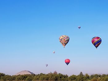 Hot air balloons flying in sky