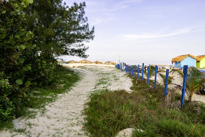 Footpath leading towards beach against sky