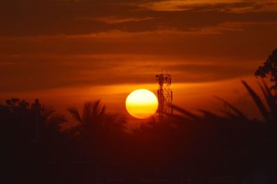 Silhouette plants against orange sky during sunset