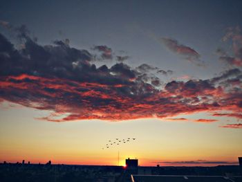 Silhouette birds flying against dramatic sky during sunset