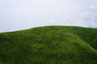 Scenic view of grassy field against sky