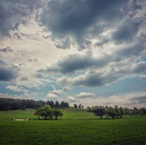 Scenic view of grassy field against cloudy sky