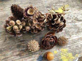 High angle view of dried food on table