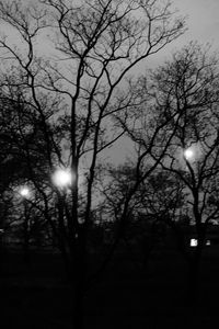 Low angle view of bare trees against sky at night