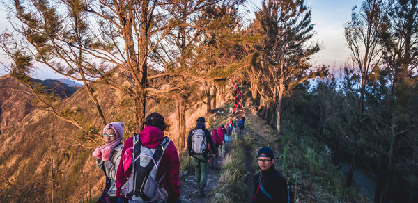 People walking on road amidst trees in forest